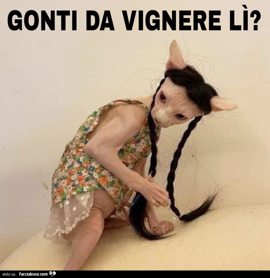 Vaccata