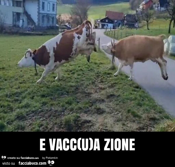 E vacc(u)a zione