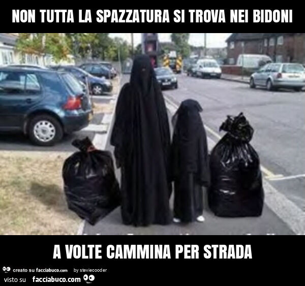 Non tutta la spazzatura si trova nei bidoni a volte cammina per strada