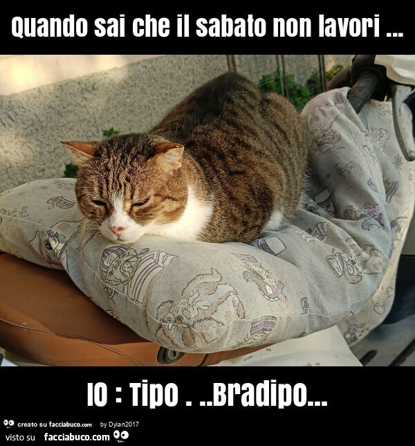 Quando sai che il sabato non lavori… io: tipo… bradipo