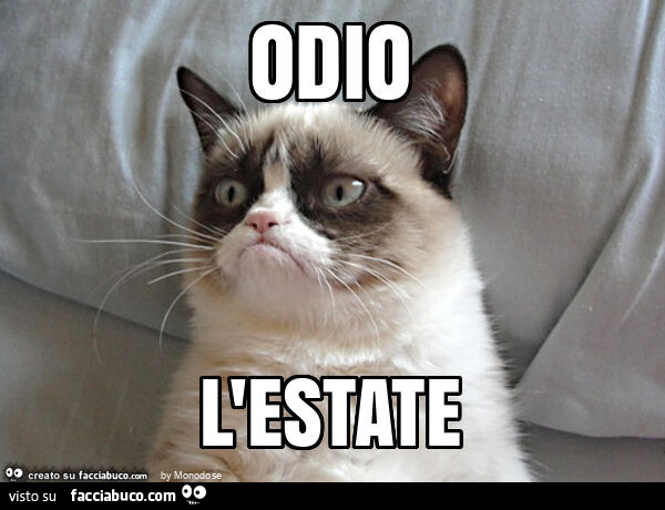 Odio l'estate