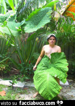 Vaccata