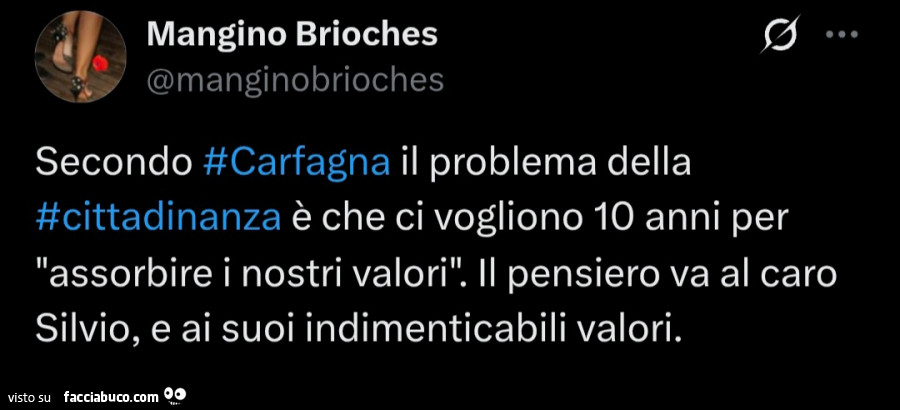 Secondo Carfagna il problema della cittadinanza è che ci vogliono 10 anni per assorbire i nostri valori. Il pensiero va al caro Silvio, e ai suoi indimenticabili valori