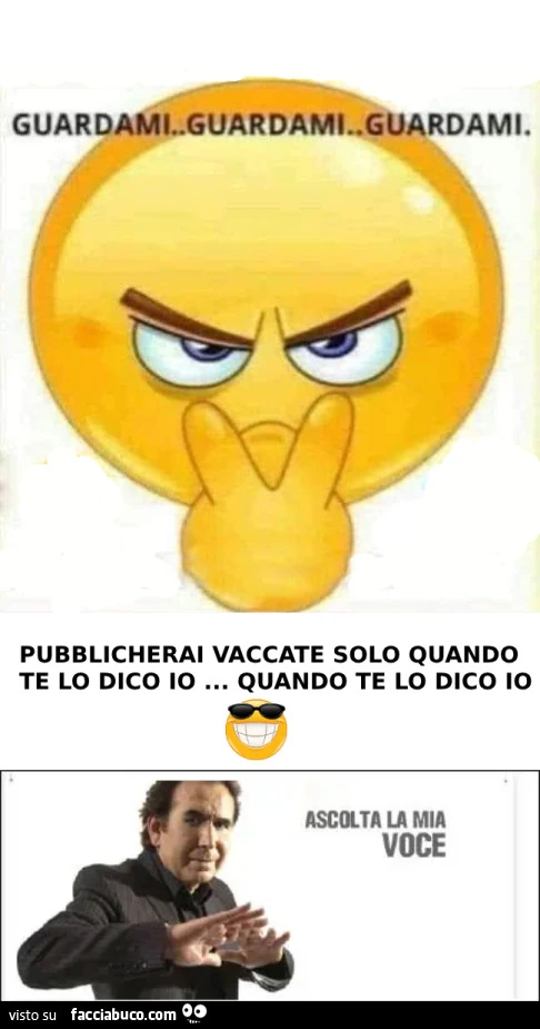 Vaccata