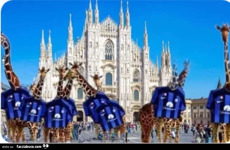 Vaccata