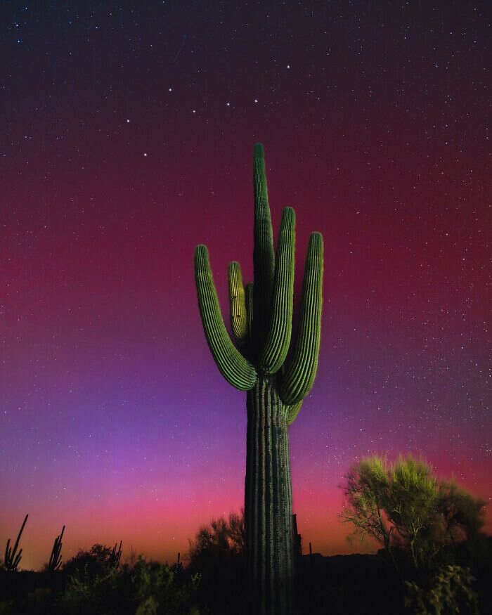 10.5.2024 Aurora Boreale sui saguari nel deserto di Sonora in Arizona negli USA