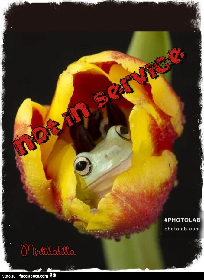 Not in service