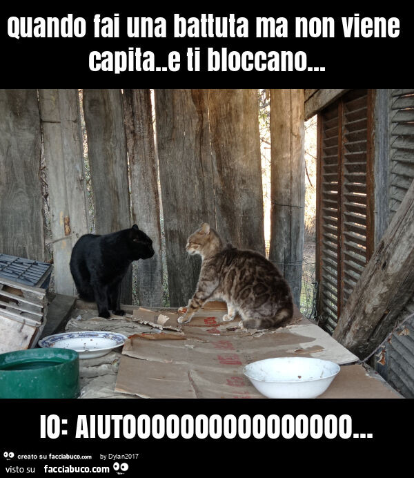 Quando fai una battuta ma non viene capita. E ti bloccano… io: aiutoooooooooooooooo