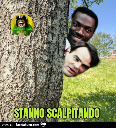 Stanno scalpitando una poltrona per due