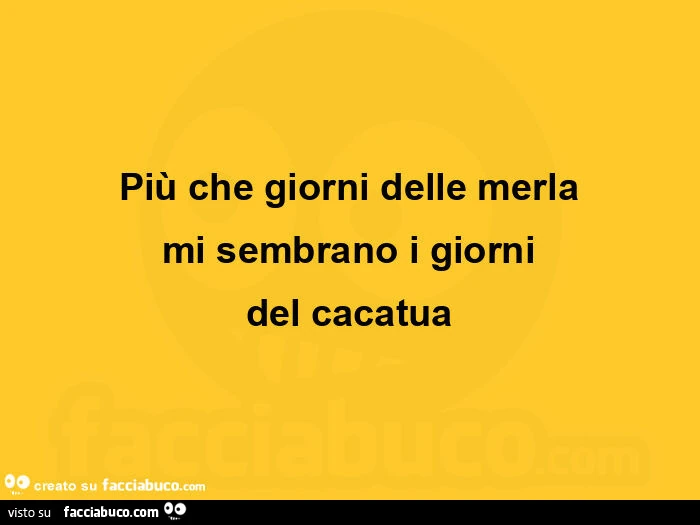 Piรน che giorni delle merla mi sembrano i giorni del cacatua