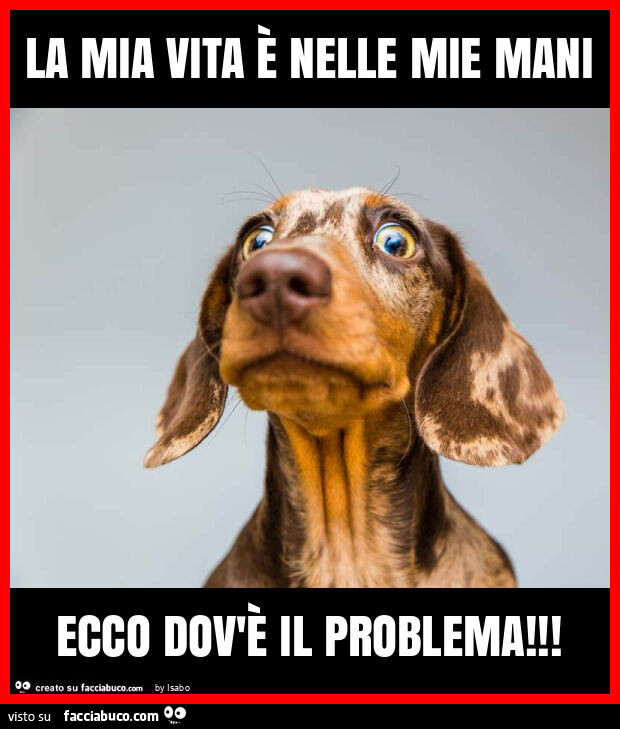 La mia vita è nelle mie mani ecco dov'è il problema