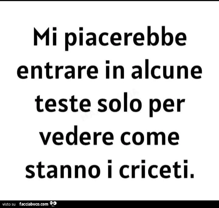 Mi piacerebbe entrare in alcune teste solo per vedere come stanno i criceti