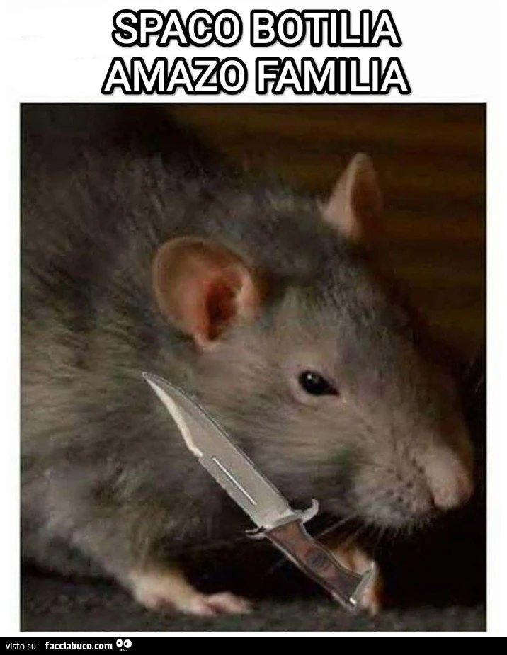 Vaccata