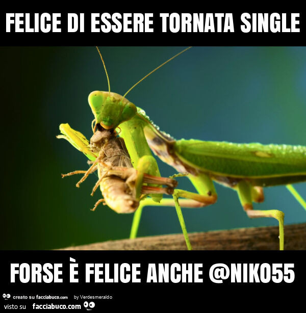 Felice di essere tornata single forse è felice anche @niko55