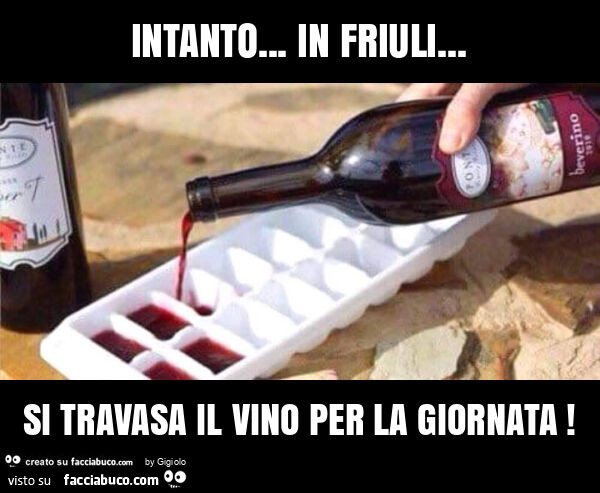 Intanto… in friuli… si travasa il vino per la giornata