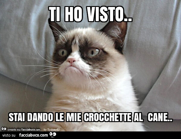 Ti ho visto. Stai dando le mie crocchette al cane