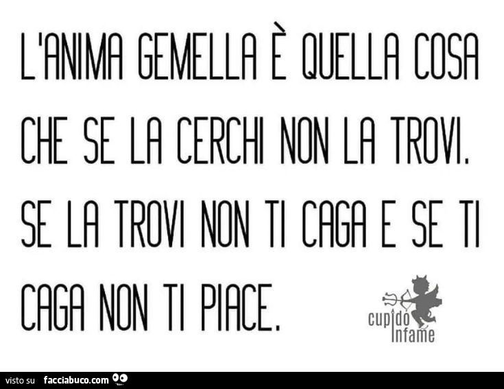 L'anima gemella è quella cosa che se cerchi non la trovi. Se la trovi non ti caga e se ti caga non ti piace