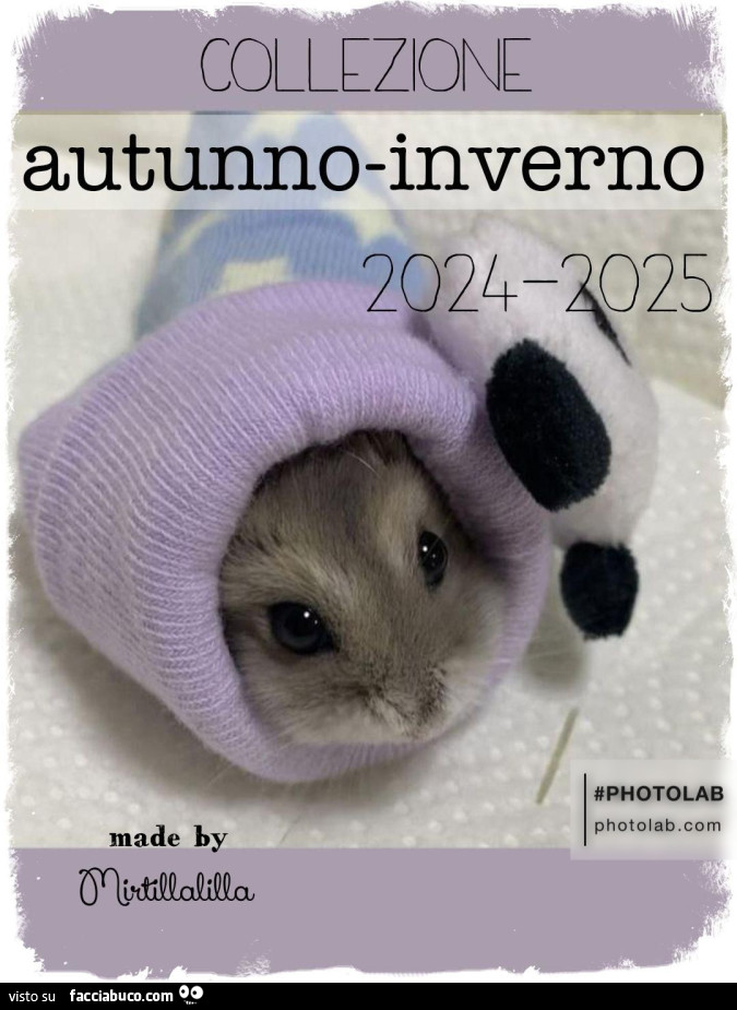 Collezione autunno inverno