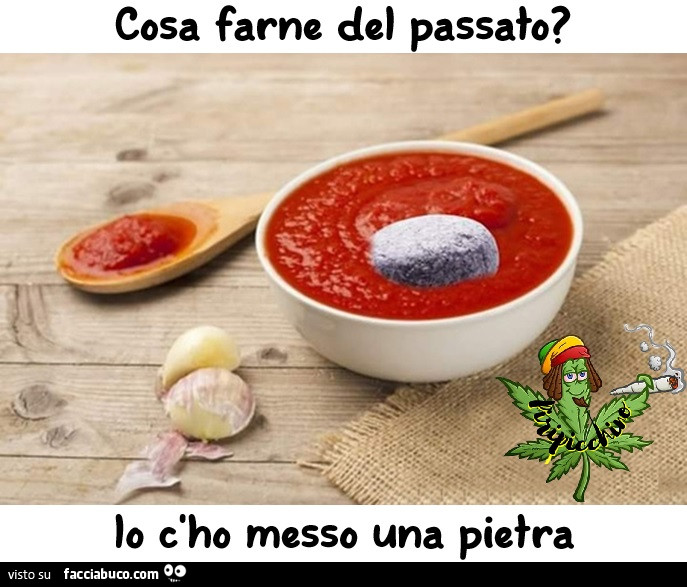 Vaccata