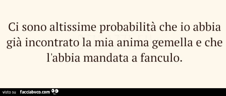 Ci sono altissime probabilità che io abbia già incontrato la mia anima gemella e che l'abbia mandata a fanculo