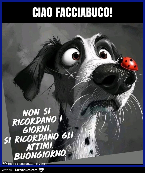 Ciao facciabuco