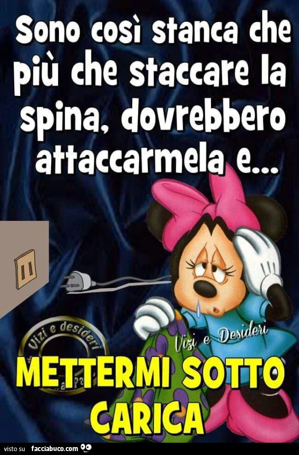 Vaccata