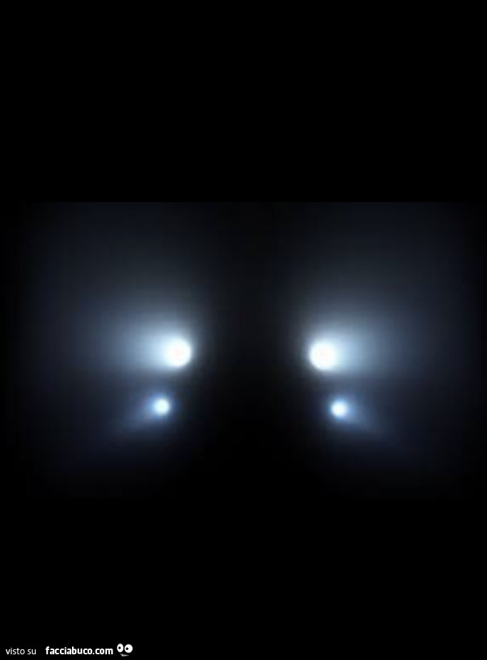 Luci