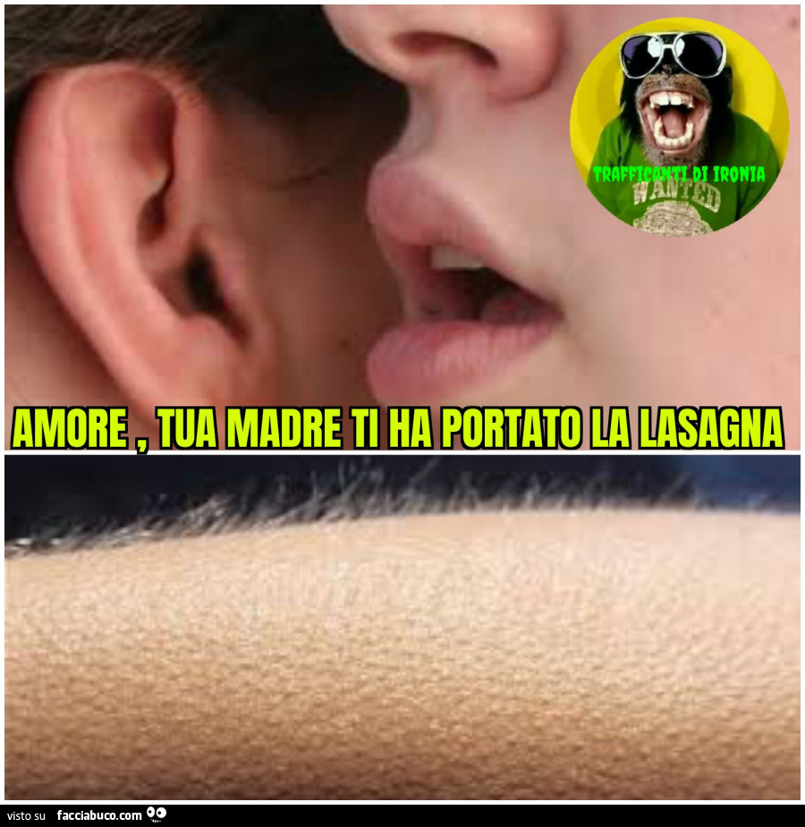 Amore tua madre ti ha portato la lasagna