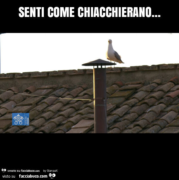 Senti come chiacchierano…