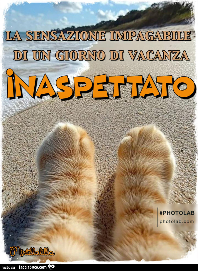 Un giorno di vacanza inaspettato
