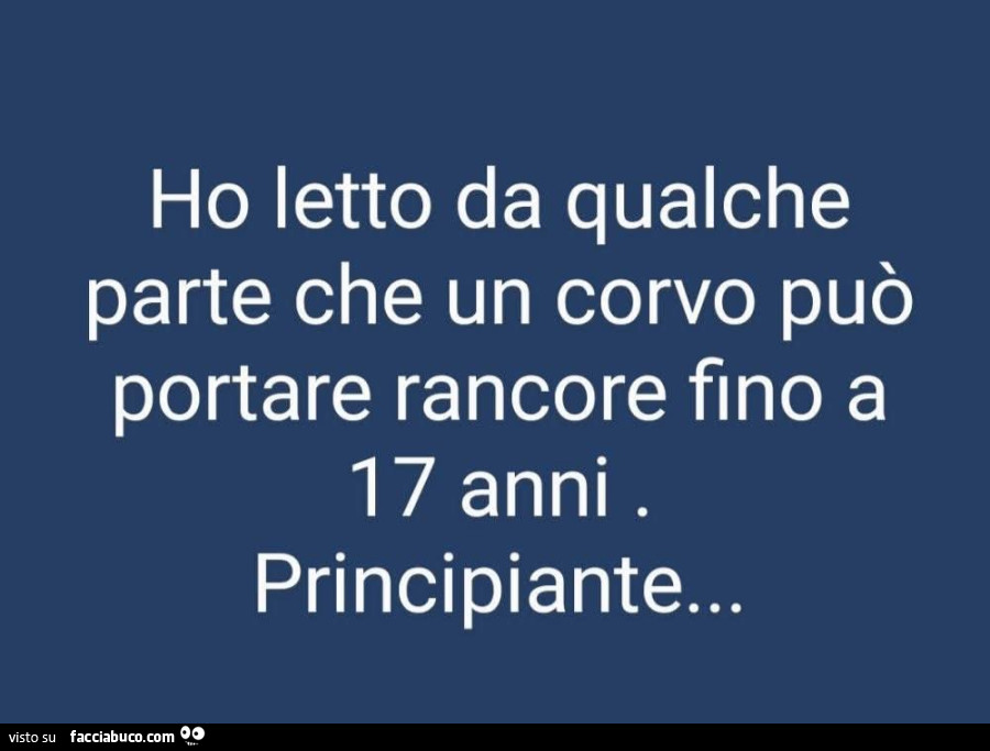 Corvo