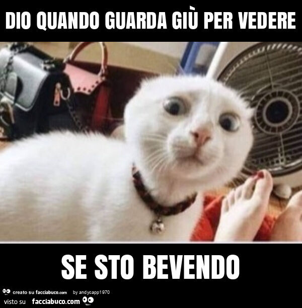 Dio quando guarda giù per vedere se sto bevendo