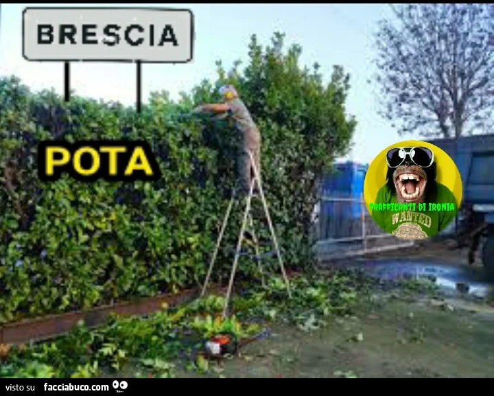 Brescia pota