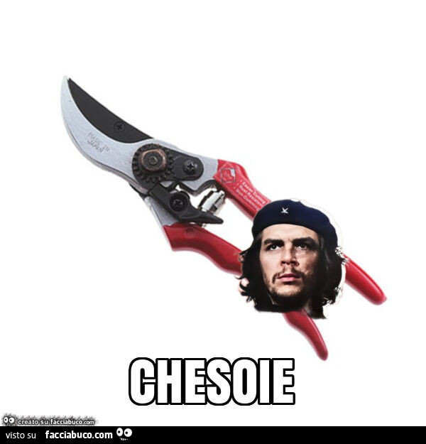 Chesoie