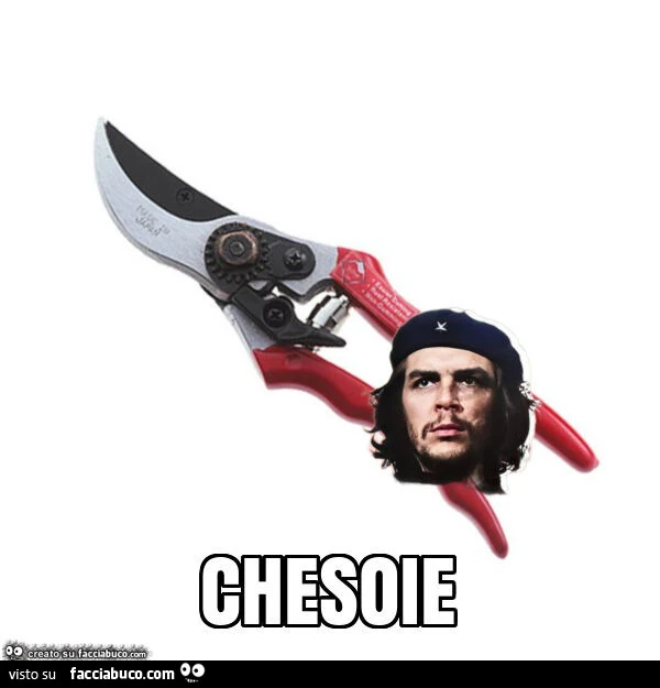 Chesoie