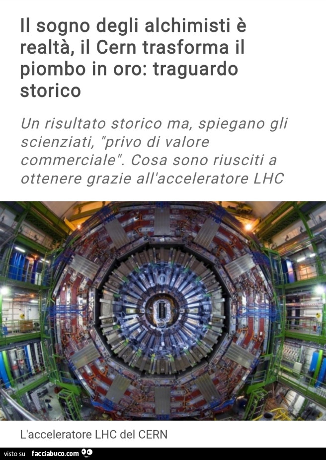 Vaccata