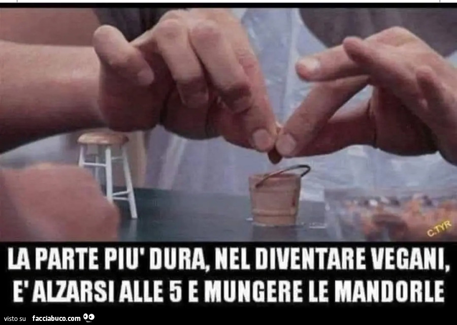 La parte più dura del diventare vegani è alzarsi alle 5 e mungere le mandorle