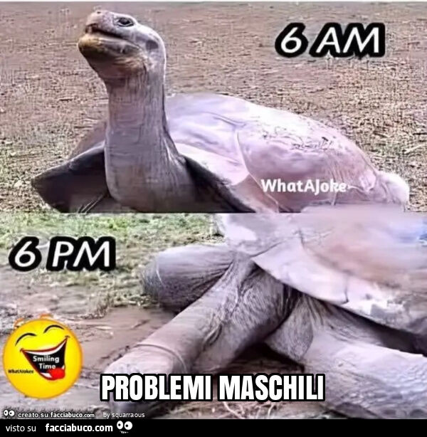 Problemi maschili