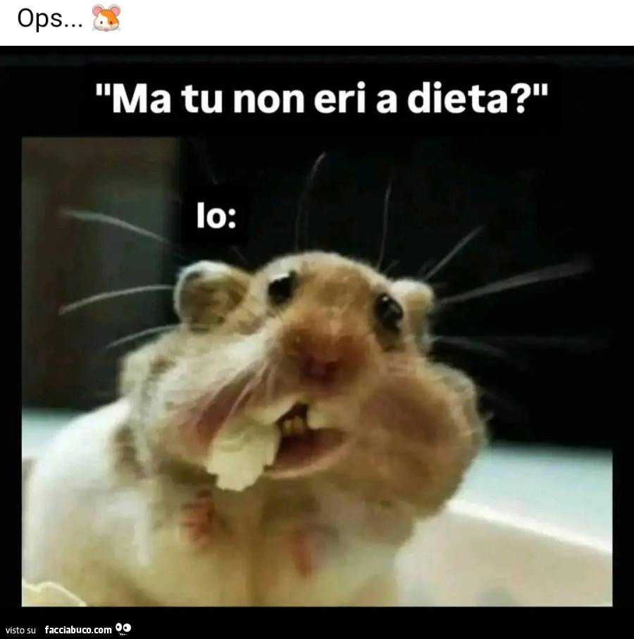 Dov'è?
