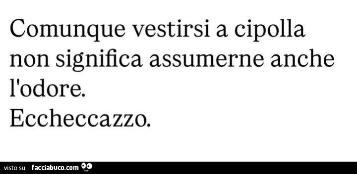 Comunque vestirsi a cipolla non significa assumerne anche l'odore. Eccheccazzo