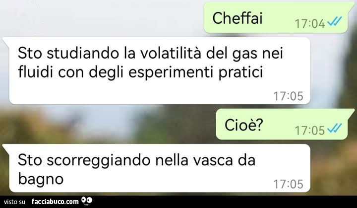 Vaccata