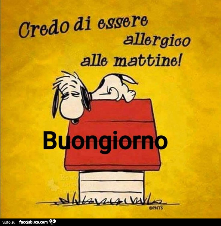 Credo di essere allergico alle mattine! Buongiorno