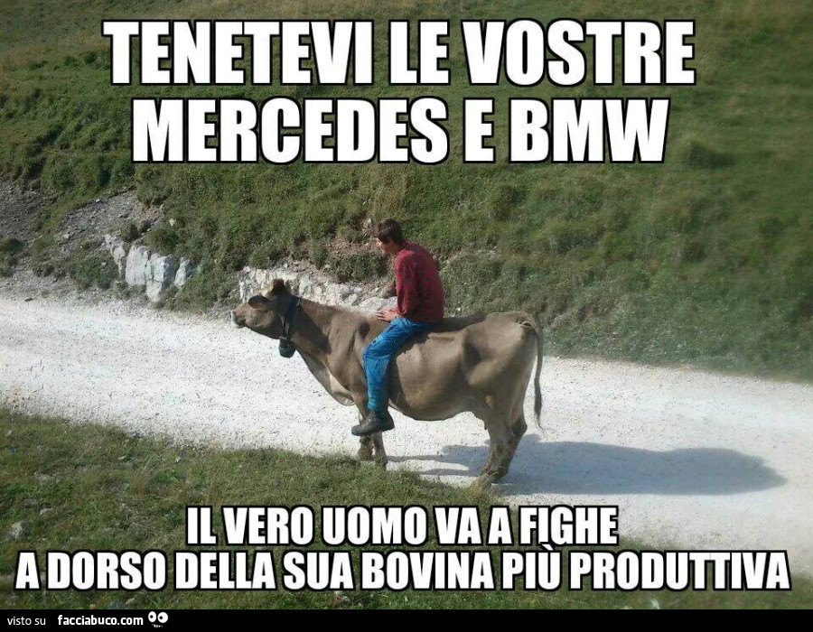 Mercedes bmw