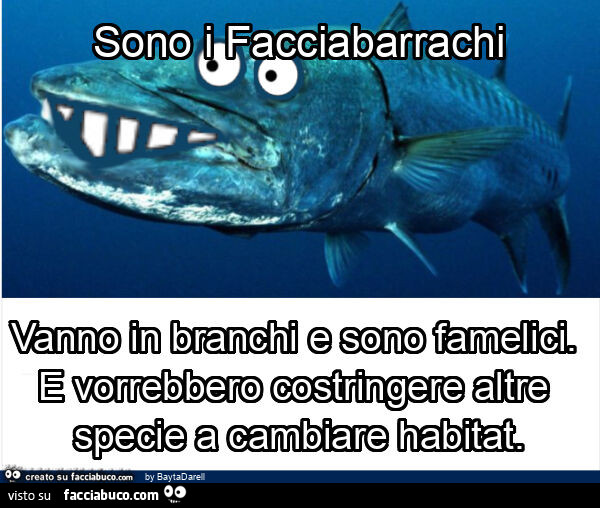 Sono i facciabarrachi vanno in branchi e sono famelici. E vorrebbero costringere altre specie a cambiare habitat