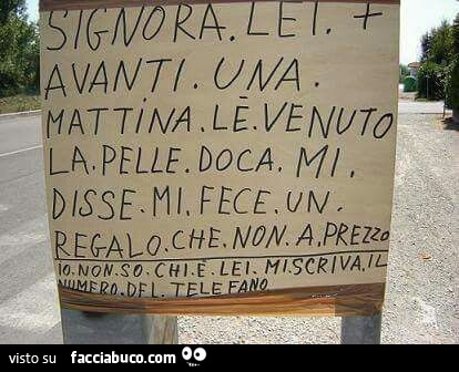 Signora