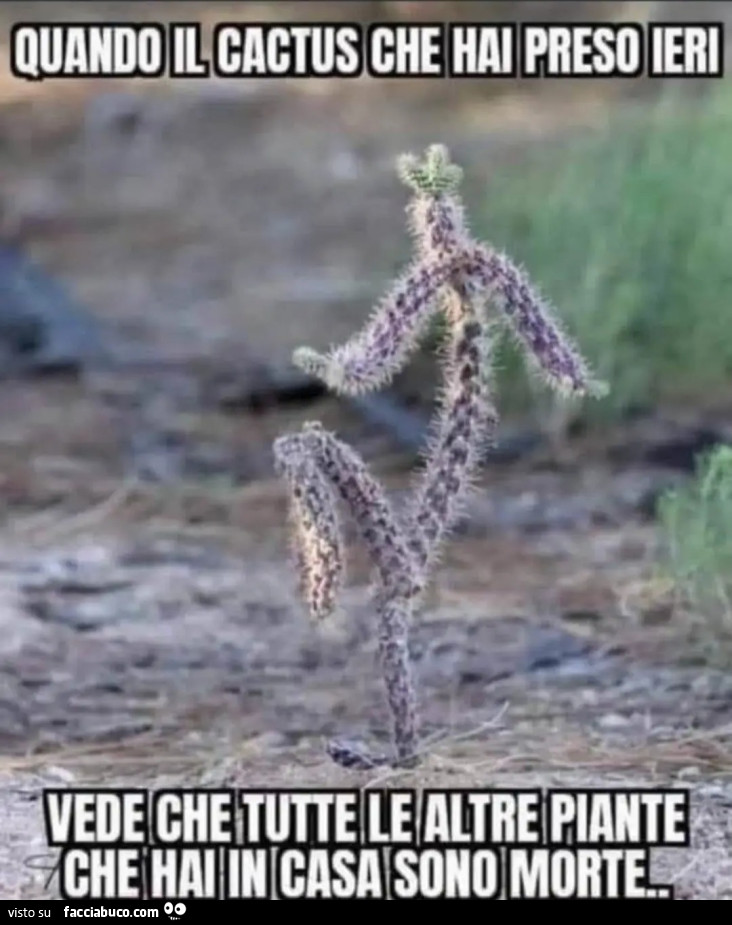 Pollice verde