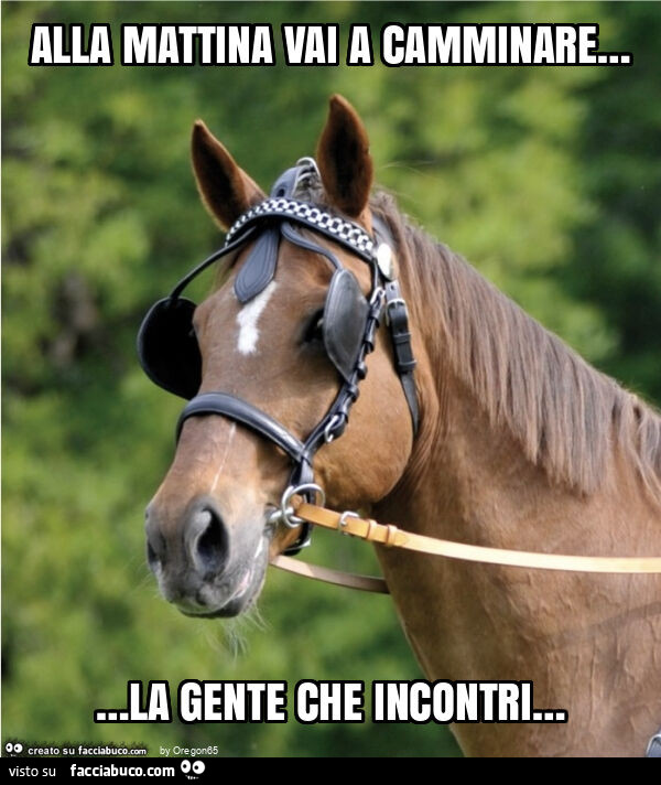 Alla mattina vai a camminare… la gente che incontri…