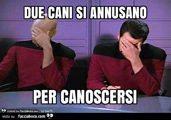 Due cani si annusano per canoscersi