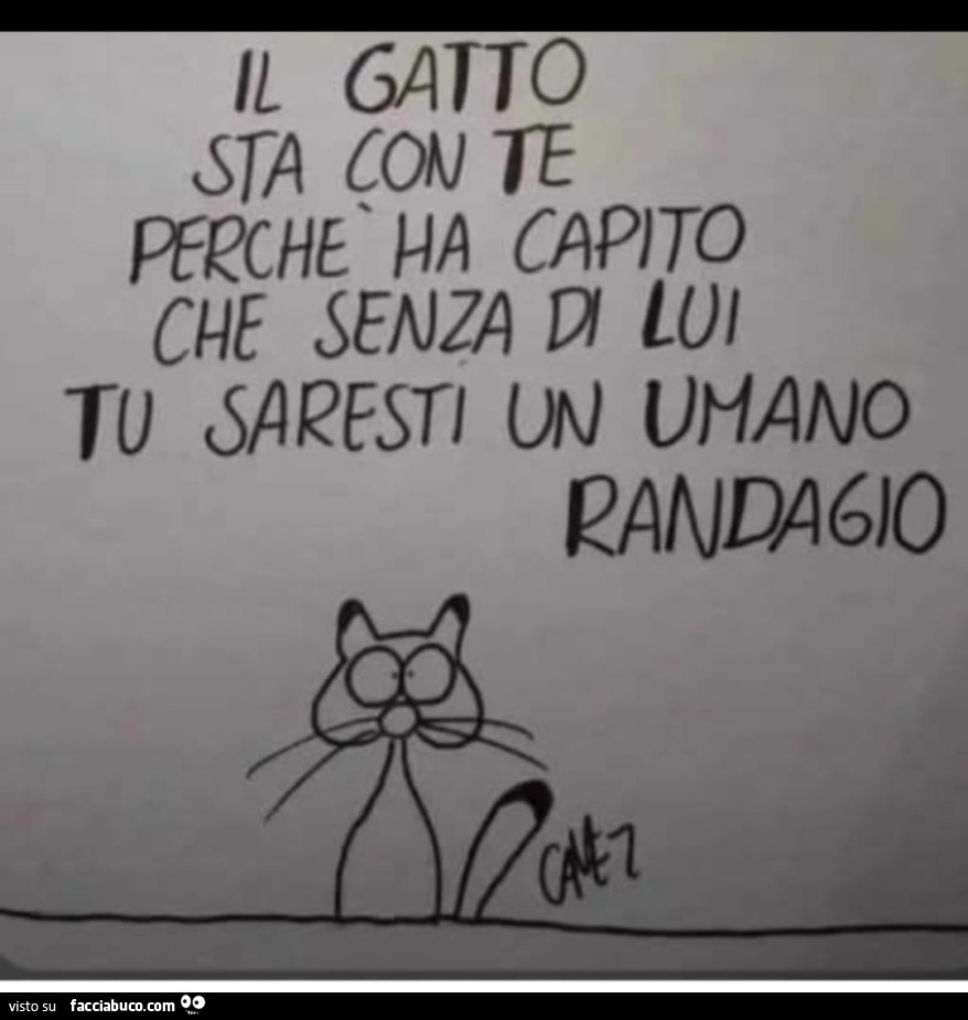 Sono gli umani i Randagi, non i gatti
