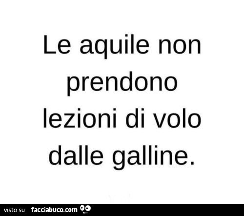 Le aquile non prendono lezioni di volo dalle galline